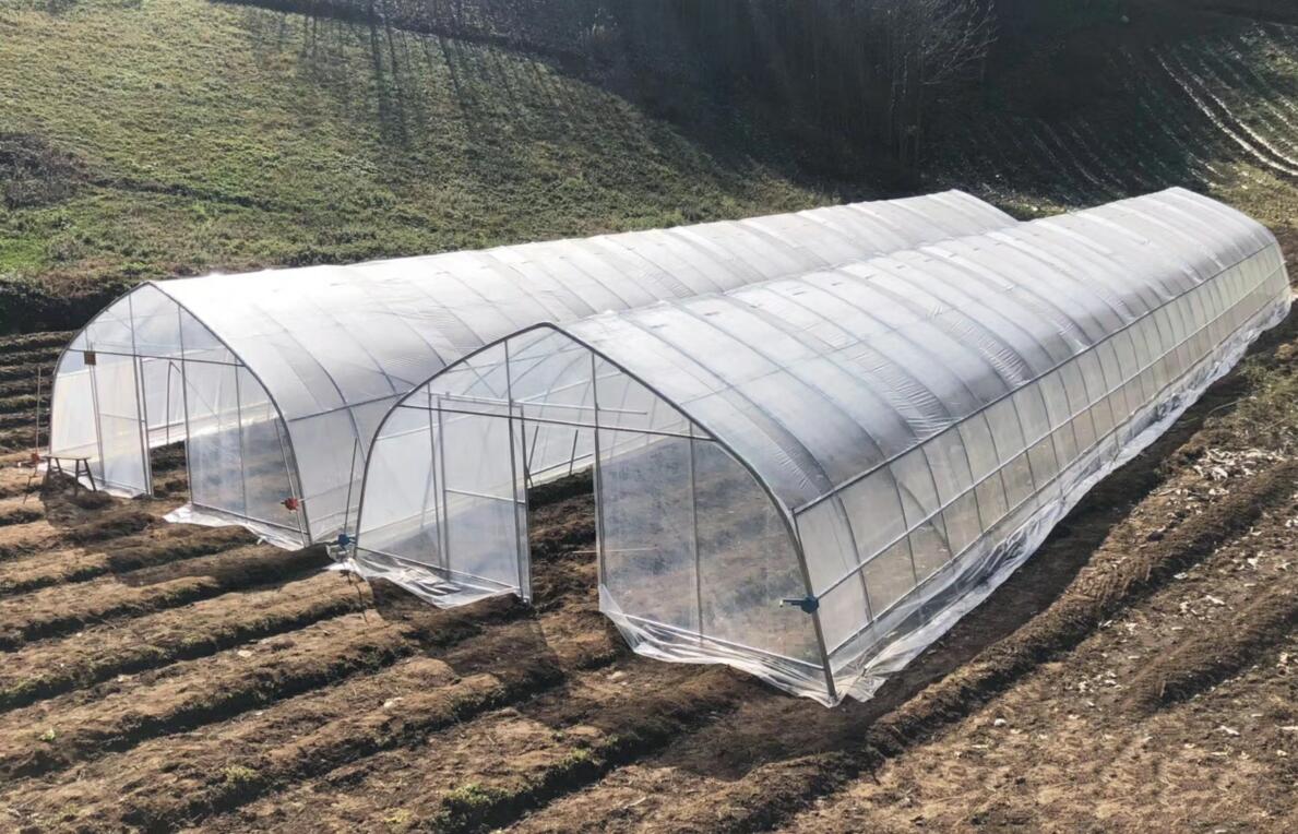 老百姓建设大棚，基础该如何做才结实、耐用，那要不要做“地勘”