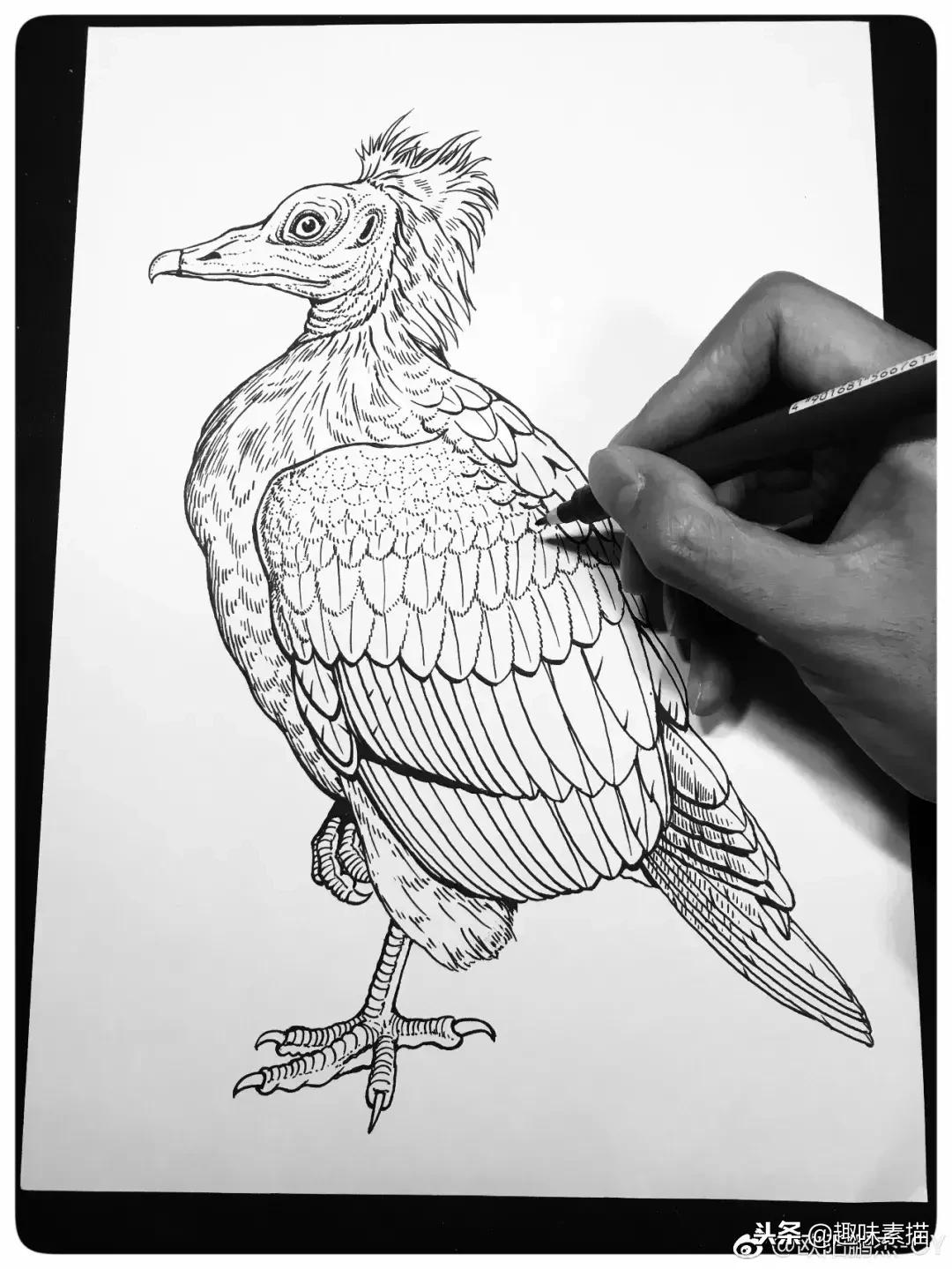 针管笔入门初学者画风景,针管笔教程