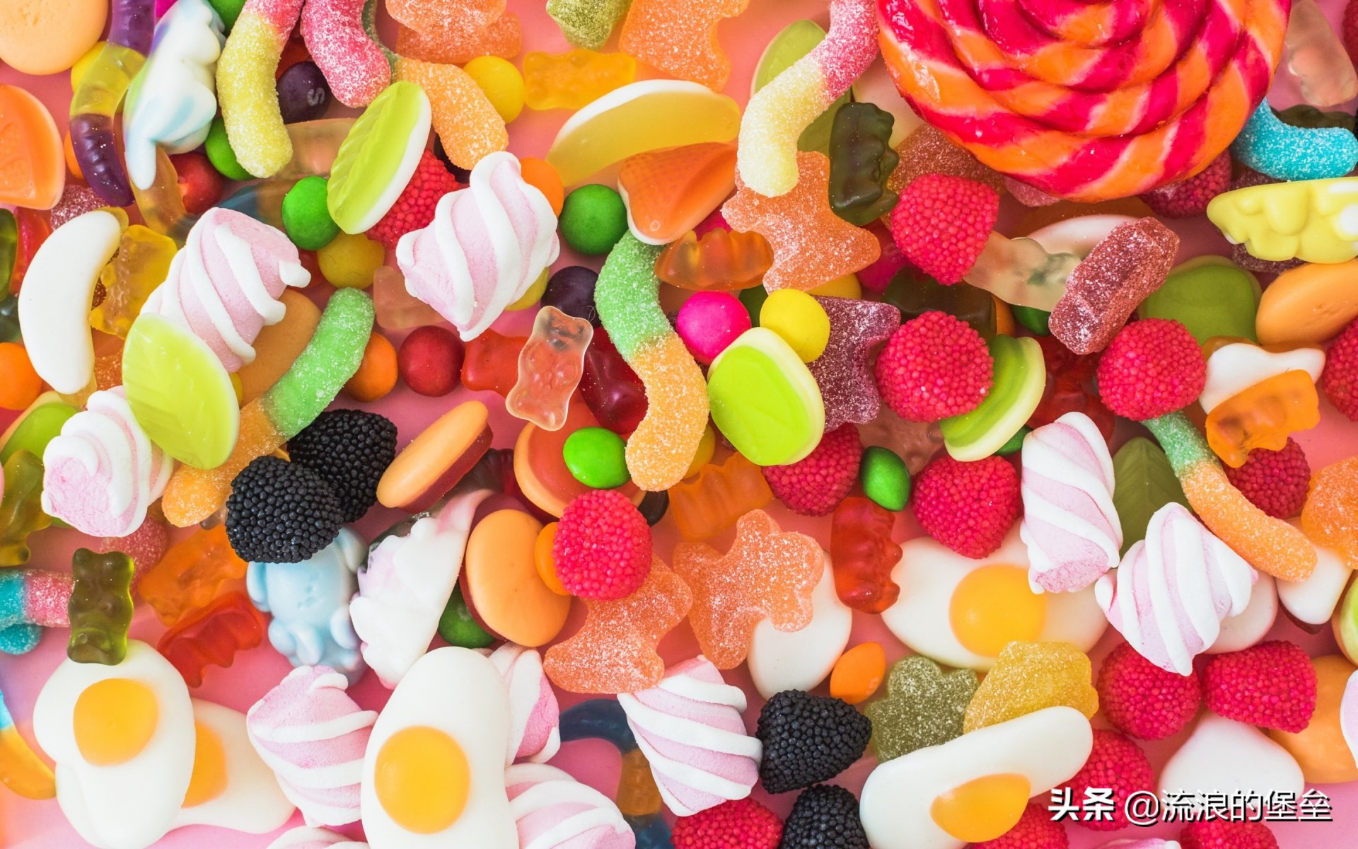 东北人猫冬的一日三餐,东北人猫冬涮羊肉