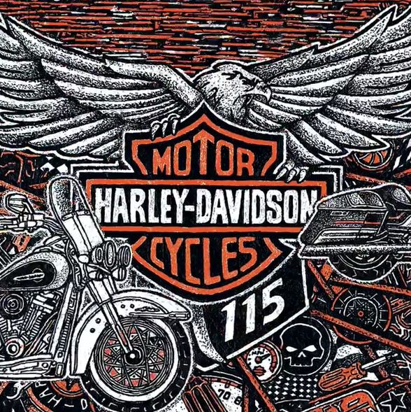 哈雷火爆全网,最近很火的哈雷摩托车视频