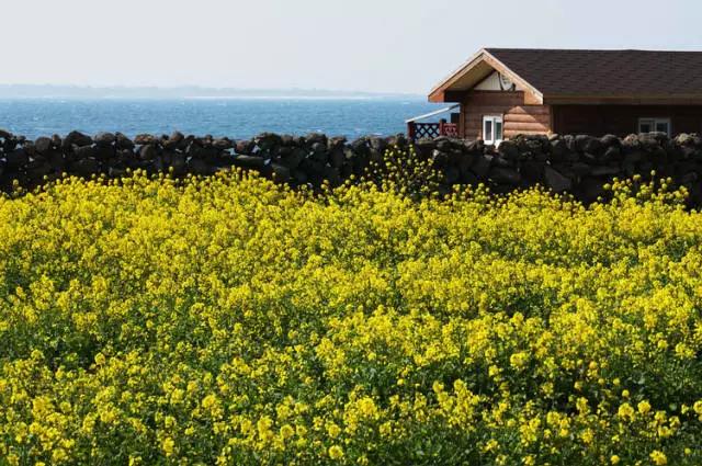 除了《乘风破浪的姐姐》,不出门的日子你也可以看看这些神仙综艺