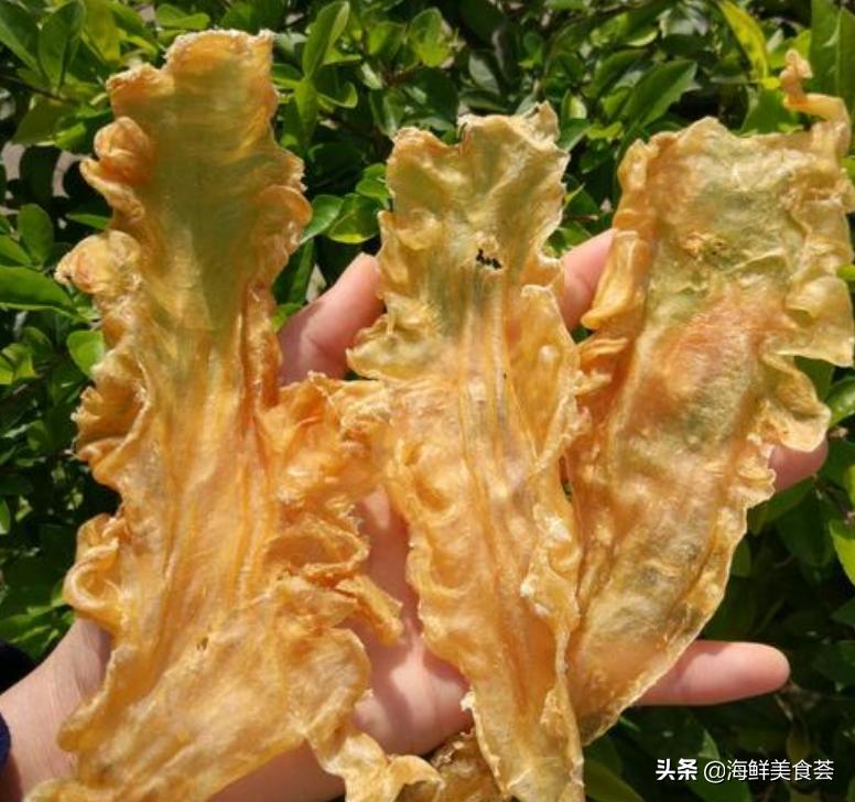 鱼胶的营养价值真的有那么高吗,鱼胶究竟有没有高的营养价值