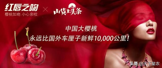 致富经90后用稻田养虾,返乡创业养殖虾