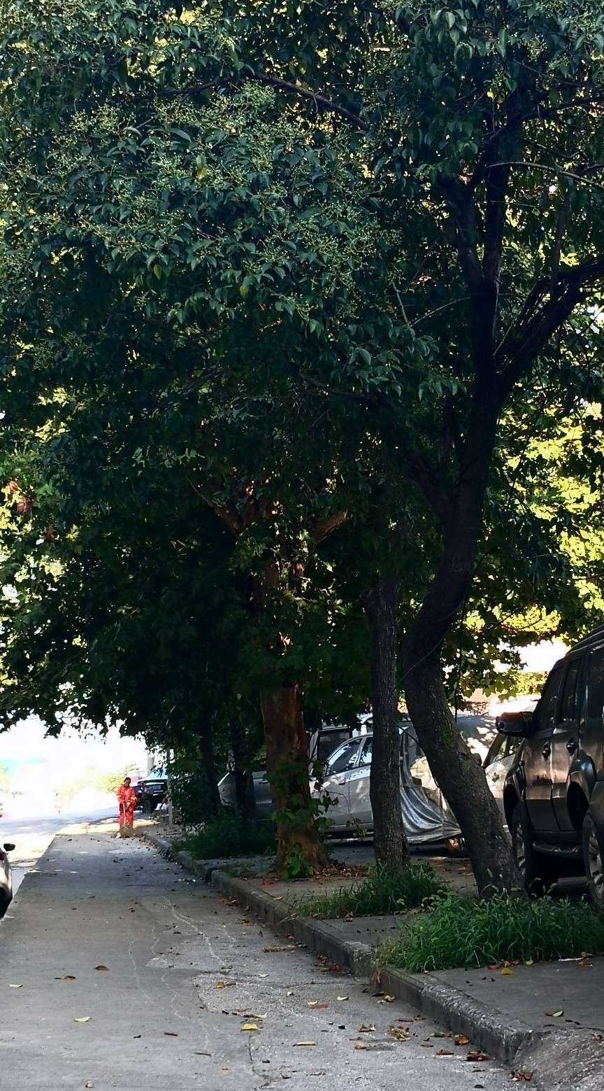 童年的时光还在马背上歌词,童年的时光