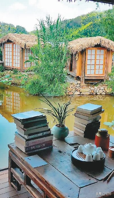 武夷山梁家民宿,武夷山民宿茶叶