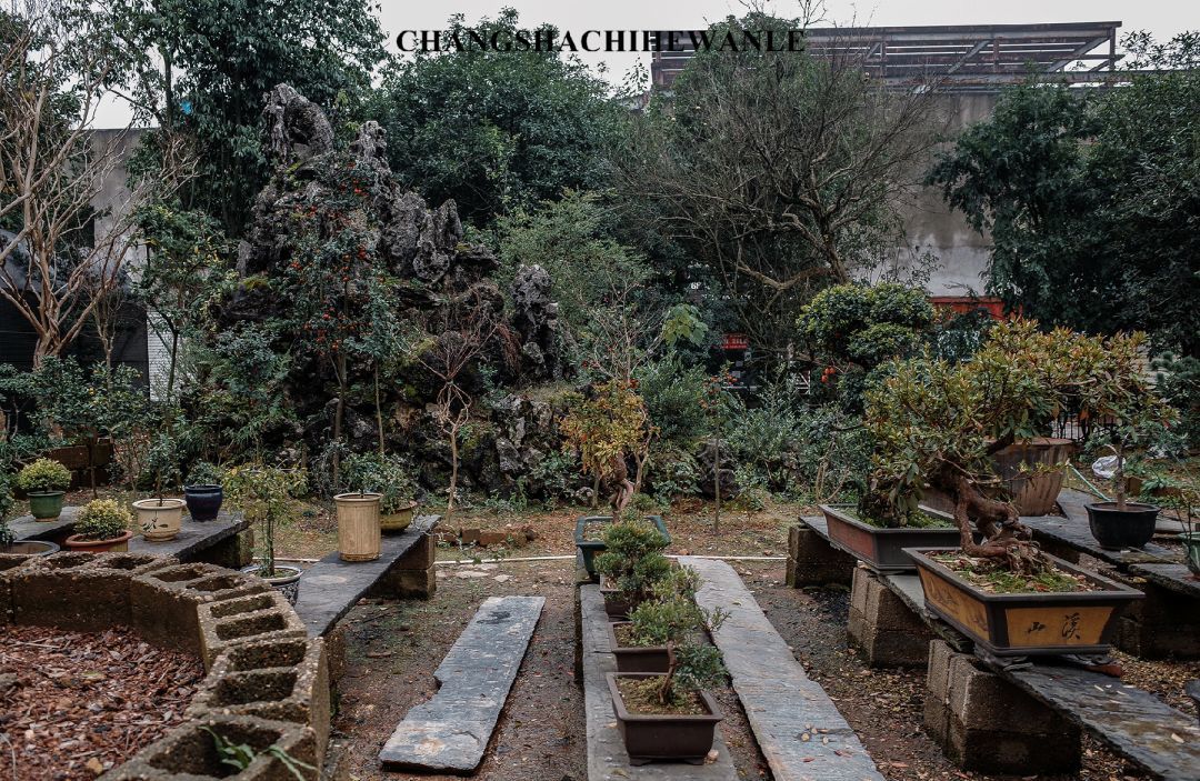 长沙市民去的长沙景点,其实长沙还藏着很多小众景点