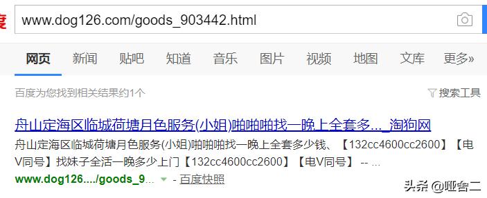 seo案例分析数据,seo案例分析视频