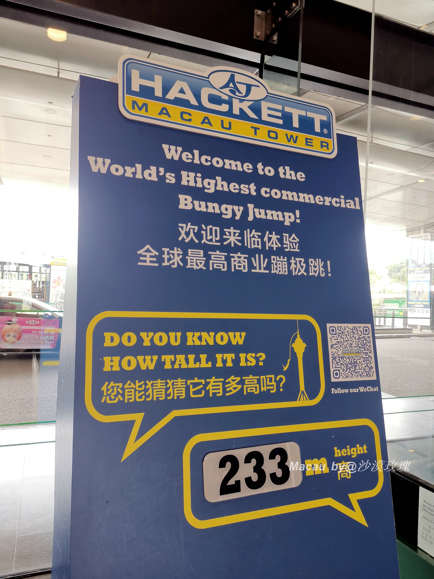 从3米高空跳到水里,世界最高蹦极澳门塔挑战成功