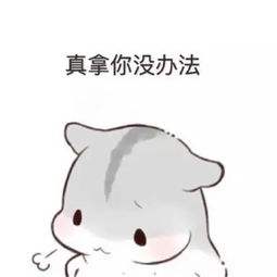 迅雷会员资源被屏蔽,迅雷不买会员就下不了