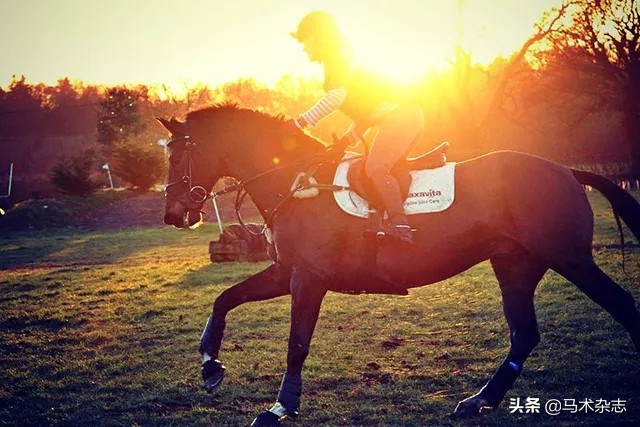 骑马是怎么样的体验,会骑马吗什么意思