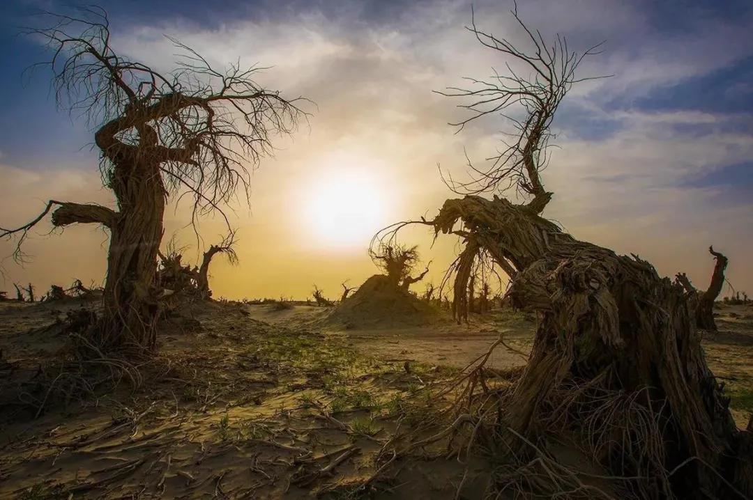 象群北迁日本报道,象群北迁降雨线北移