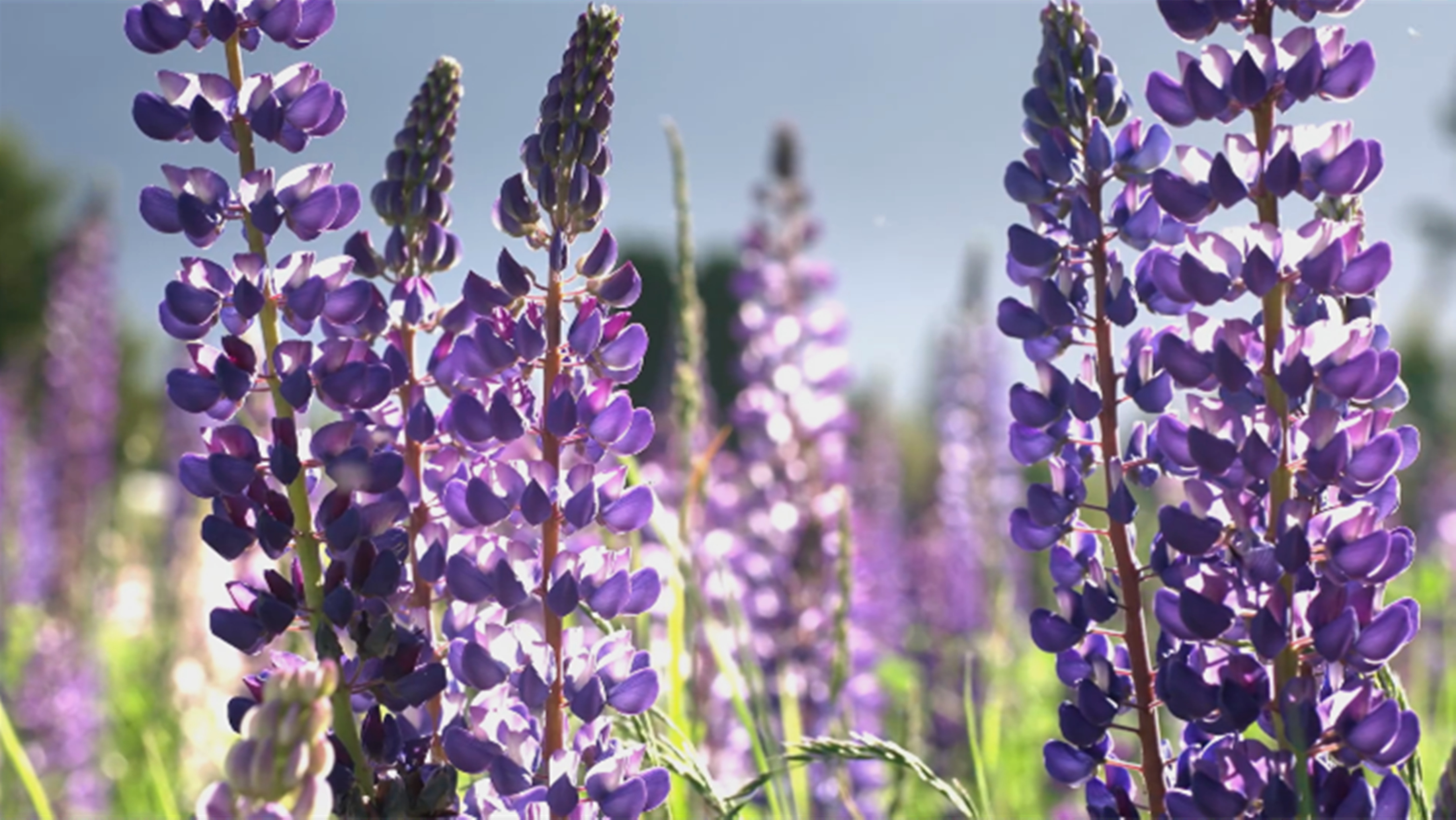 在家装一个3d的电影院,在家装个电视