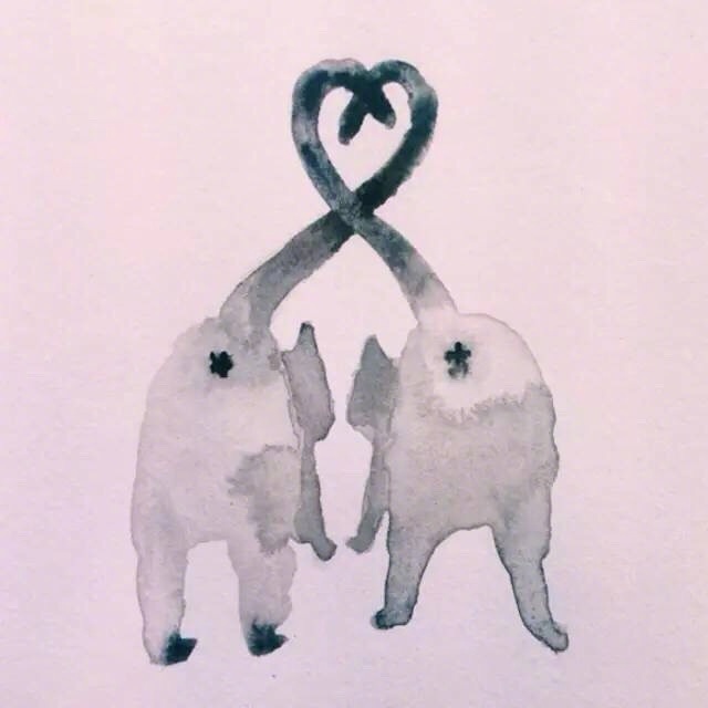 猫咪发情怎么办,教你如何处理猫咪发情