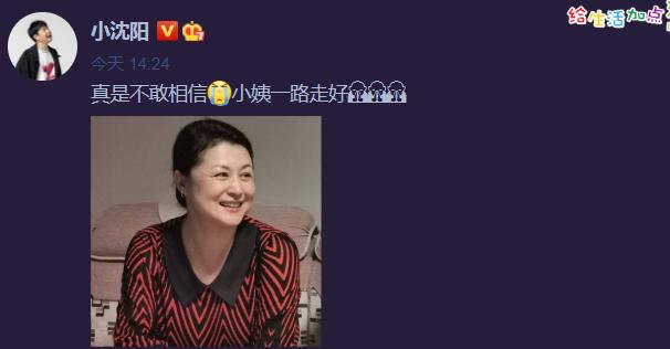 于月仙车祸原因赵本山,赵本山于月仙车祸事故细节