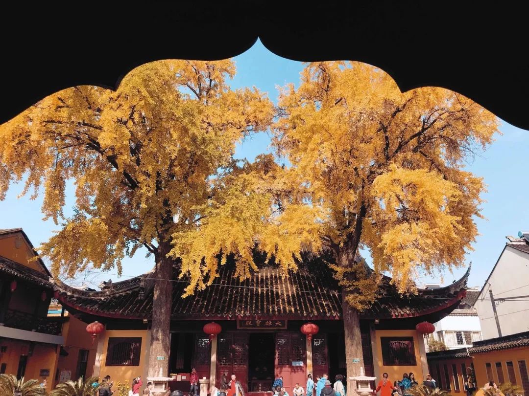 一入秋苏州成姑苏,秋色一入秋苏州就成了姑苏