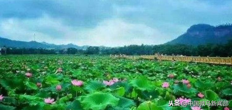 曲曲折折——微马余大大