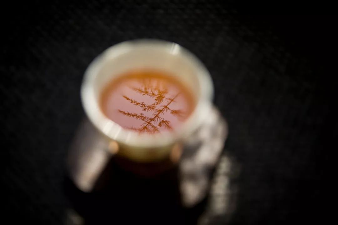 什么茶最好喝又润肺,什么茶最好喝又营养价值高