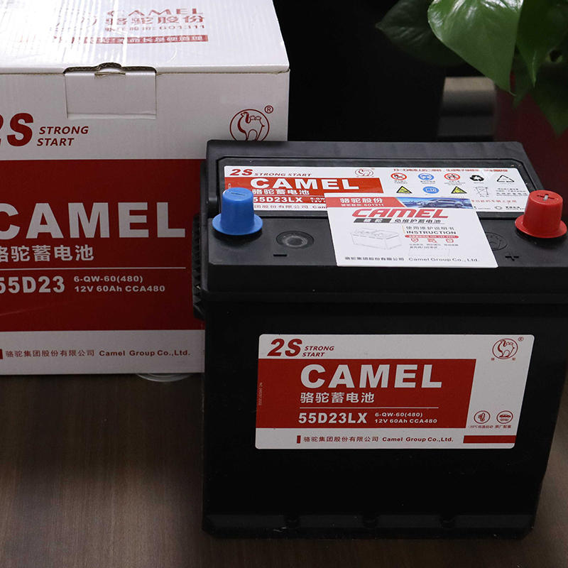 骆驼蓄电池特点,骆驼蓄电池服务宗旨