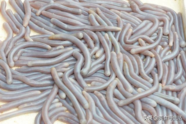 中国十大顶级大型海鲜市场在哪里,全国各大海鲜市场现状