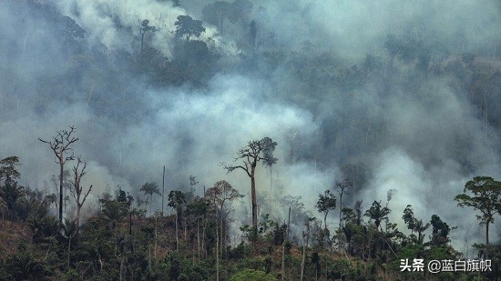 巴西总统希望恢复足球比赛的原因,巴西抗击疫情的总统