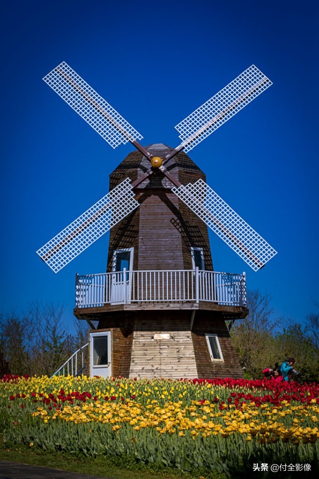 北京国际鲜花港有限公司,北京国际鲜花港一日游