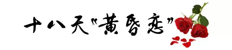 鹊桥陷阱,假红娘的骗局视频