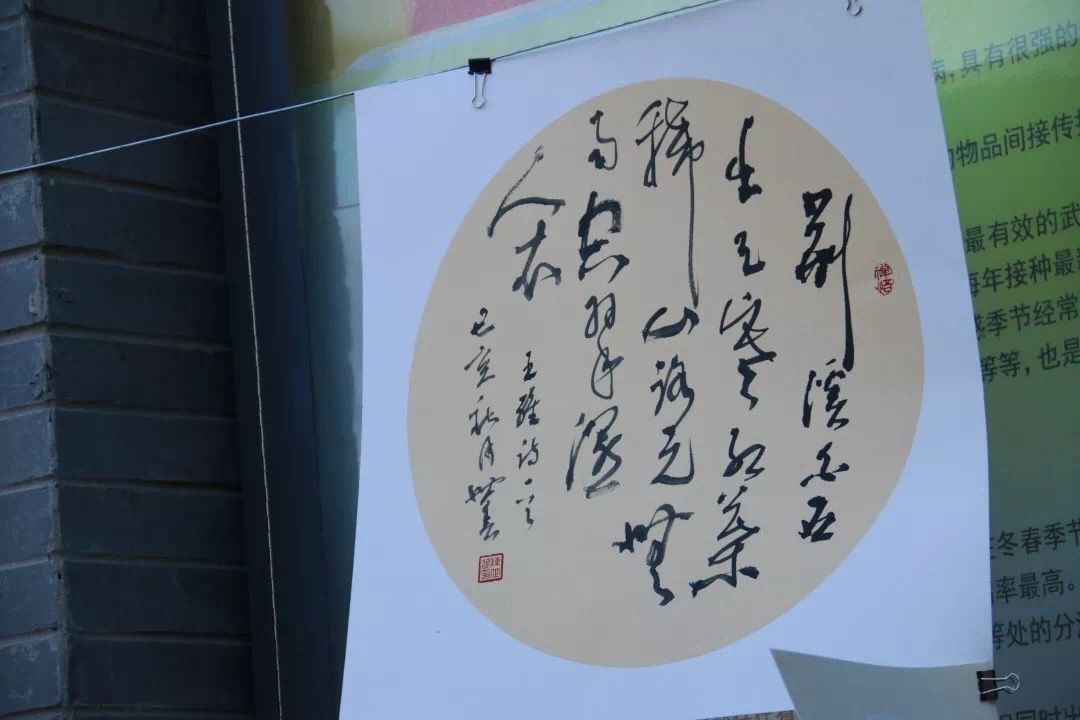 宁海中学,130岁了