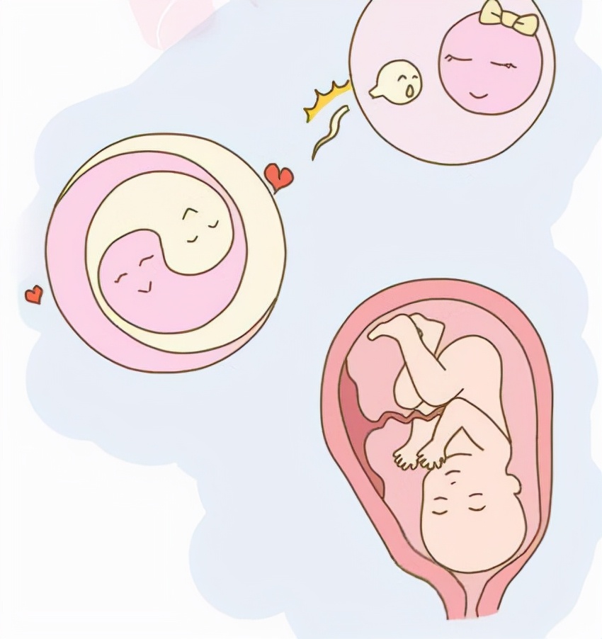 产后脱发严重怎么调理头顶都秃了,为什么有的人产后脱发特别严重