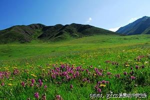 甘南则岔石林住宿,甘南则岔石林免票