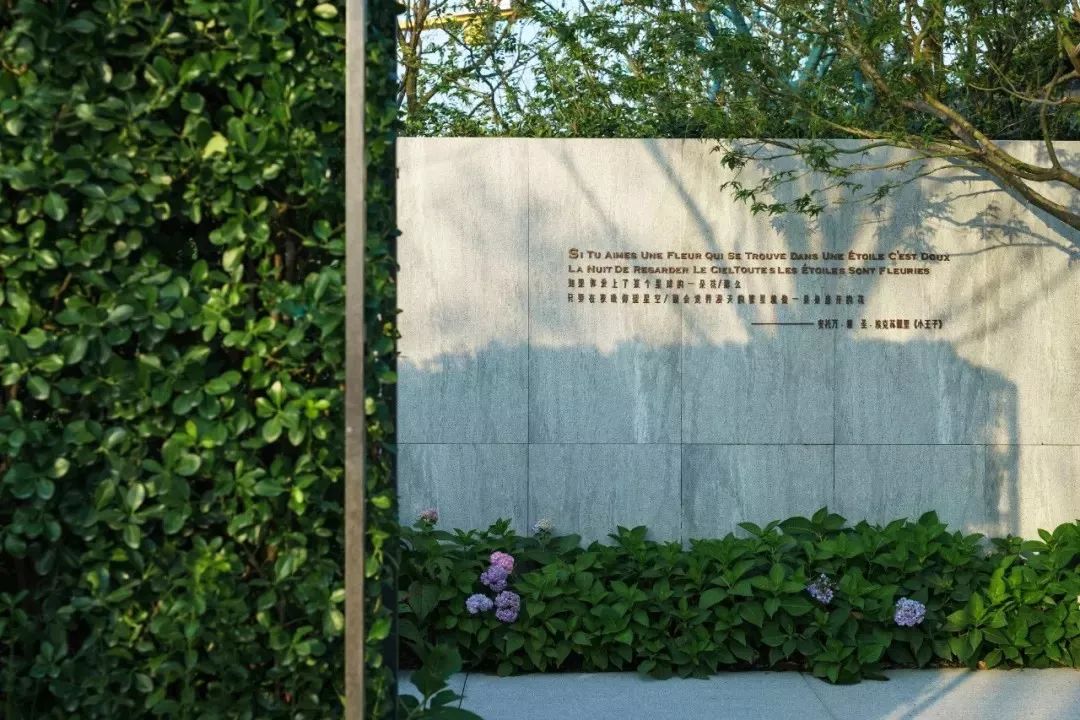 文字带来的魅力,奇特文字符号