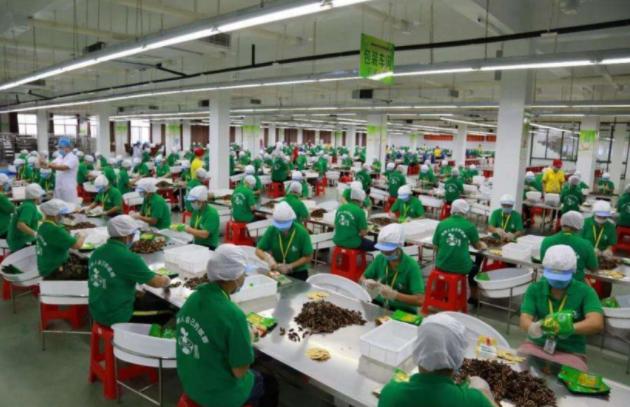 妲熸鐨勬枃鍖栦紶缁熶笌浜夎,妲熸涓轰綍瀛樺湪澶氬勾