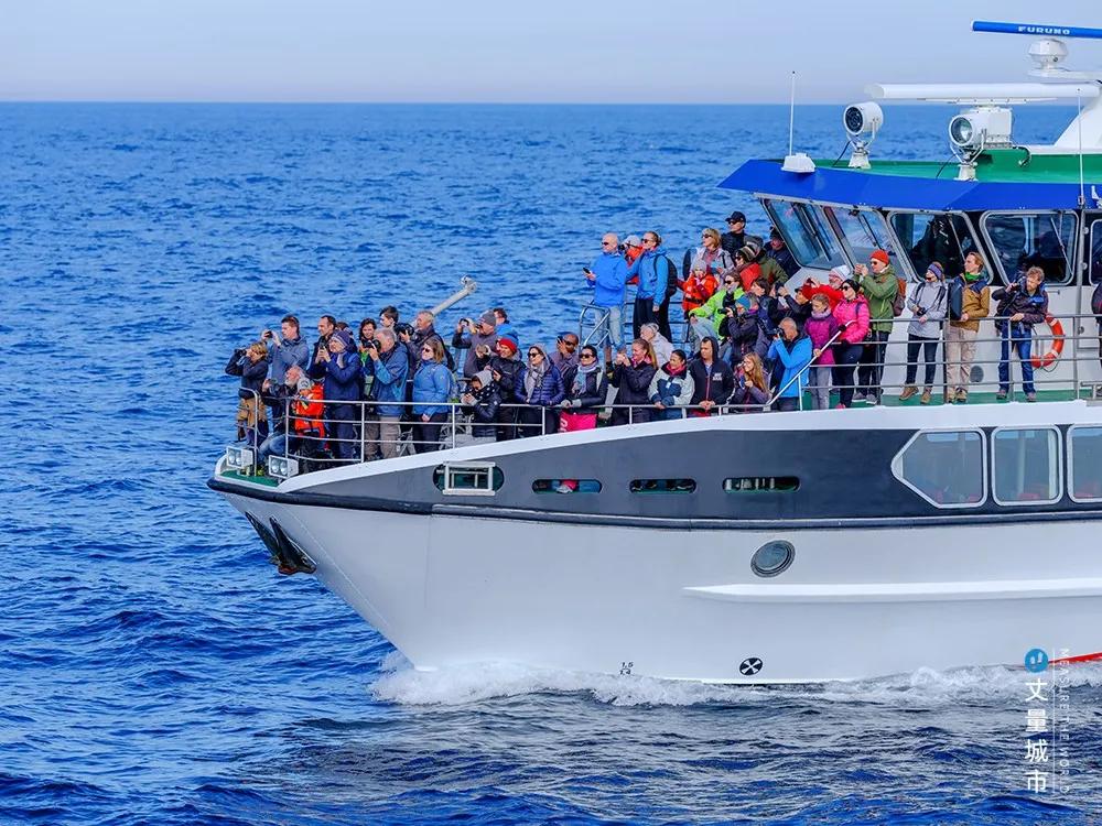 维京遇到全域旅游,美丽乡村、特色小镇一网打尽:挪威渔业史漫步