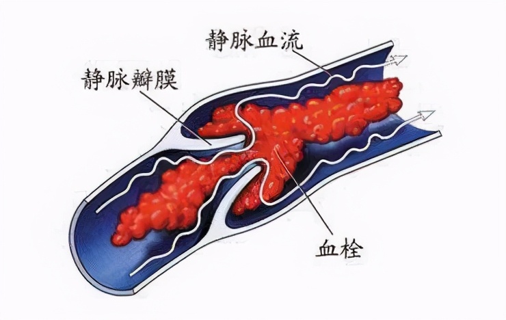 颐年堂国医馆胡国华,武汉颐年堂国医馆胡国华教授资料