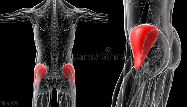 打臀部疫苗,打疫苗肌内注射手法