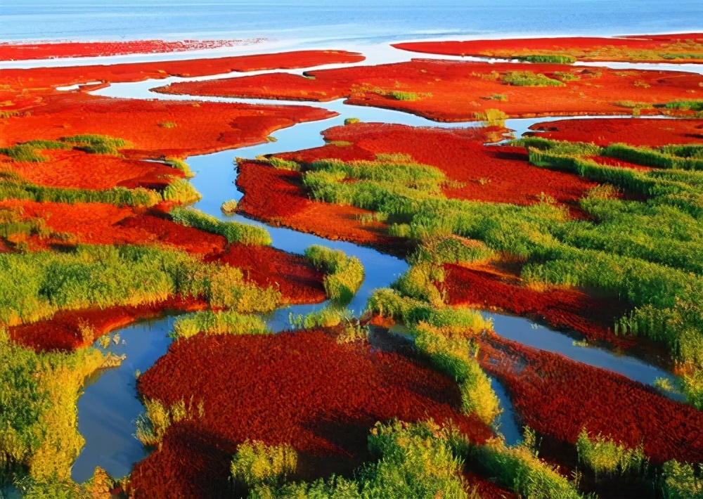 辽宁省4a级旅游景区有哪些,盘锦市新立镇旅游景区