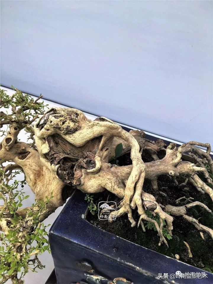 骞哥涔呬箙鐢滅敎铚滆湝,骞哥涔呬箙