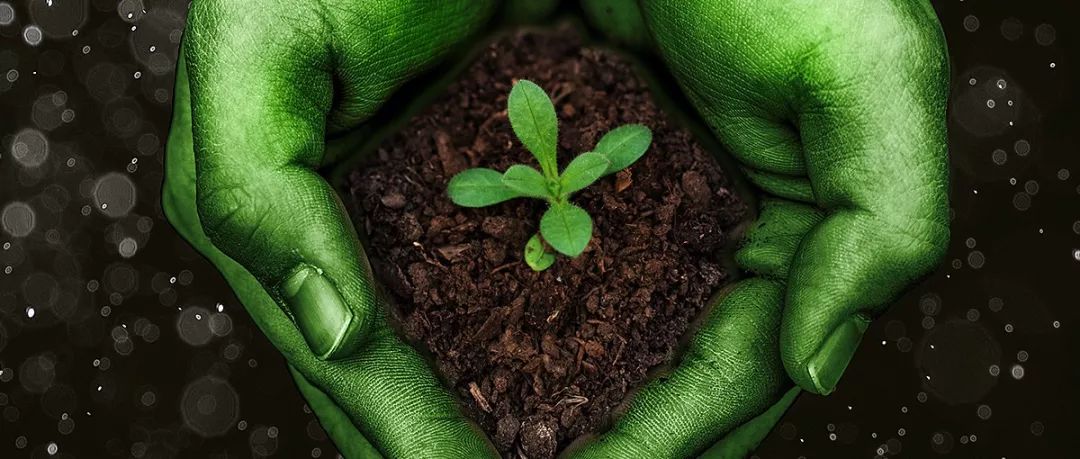 揭秘万达绿巨人！他们靠着两朵云，年年成功减肥