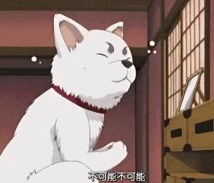 红糖补血吗可以经常喝吗,红糖真的可以补血吗