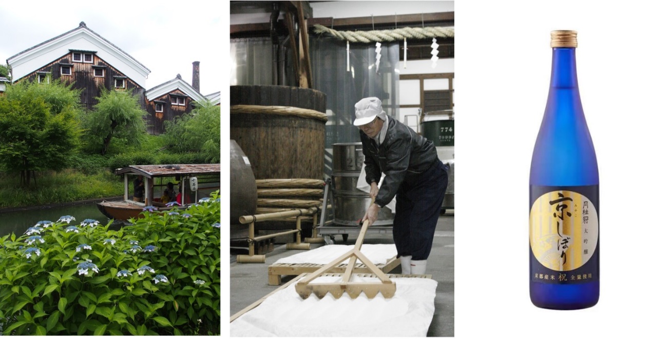 正是春暖花开去赏樱花,趁阳光明媚春暖花开