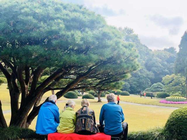 东京到镰仓和箱根攻略,东京箱根富士山镰仓