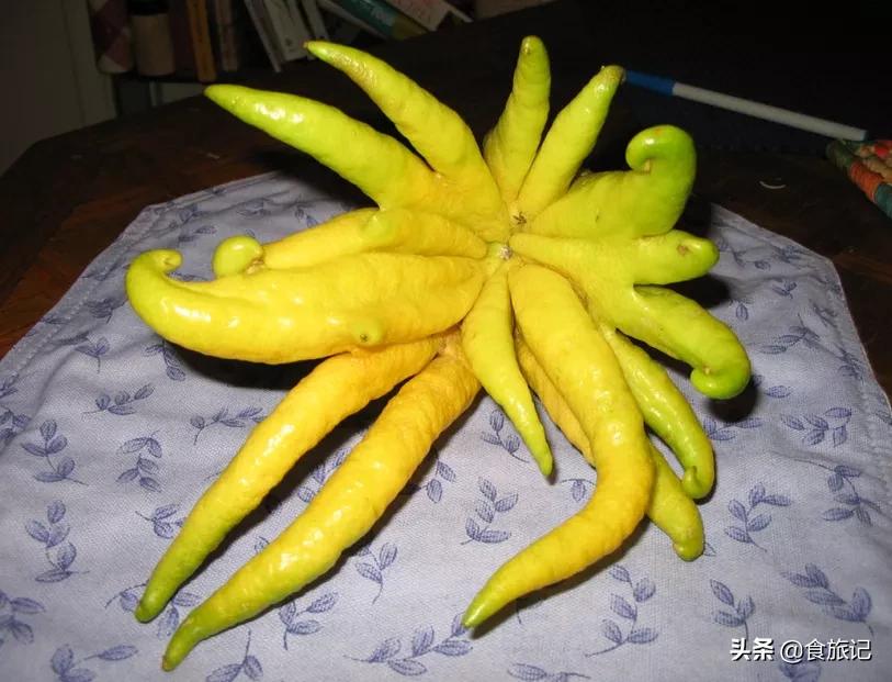 怎样才能吃到好吃又营养的果子呢,像灯笼一样的果子可以吃吗