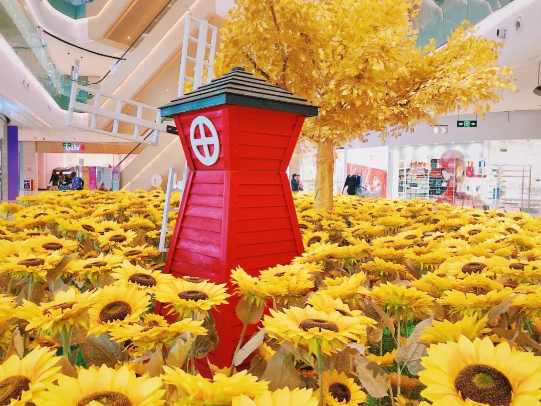 十堰向日葵花海打卡网红地,十堰美丽的地方