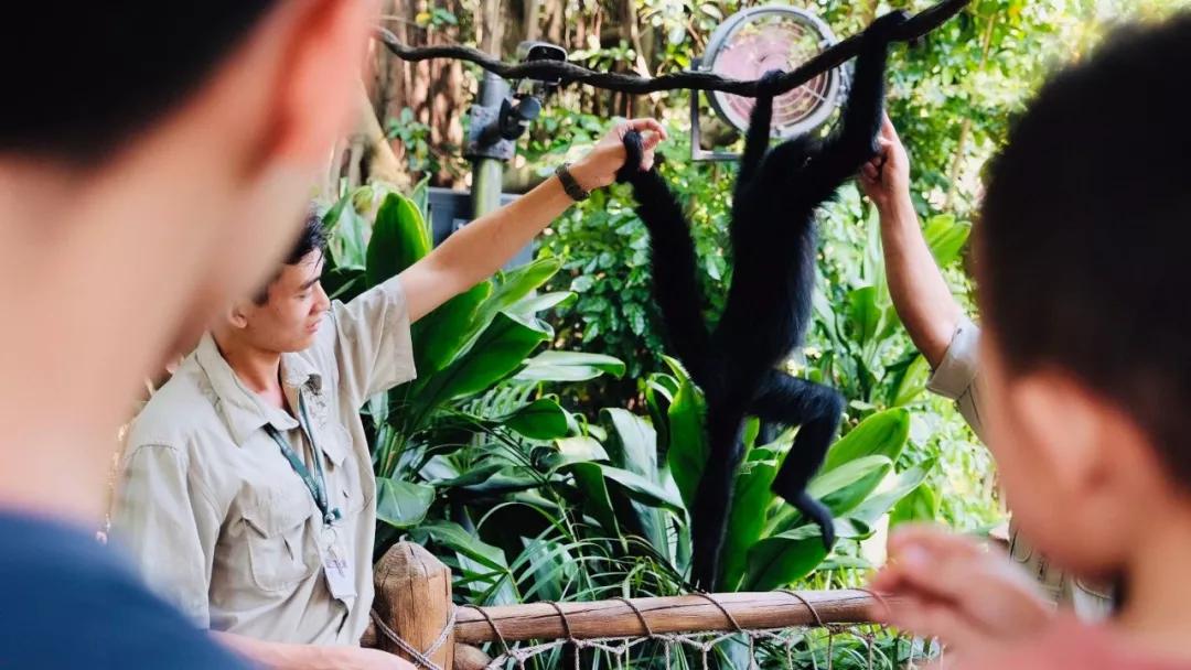 推荐最好玩的乐园,有没有值得玩的地方推荐一下