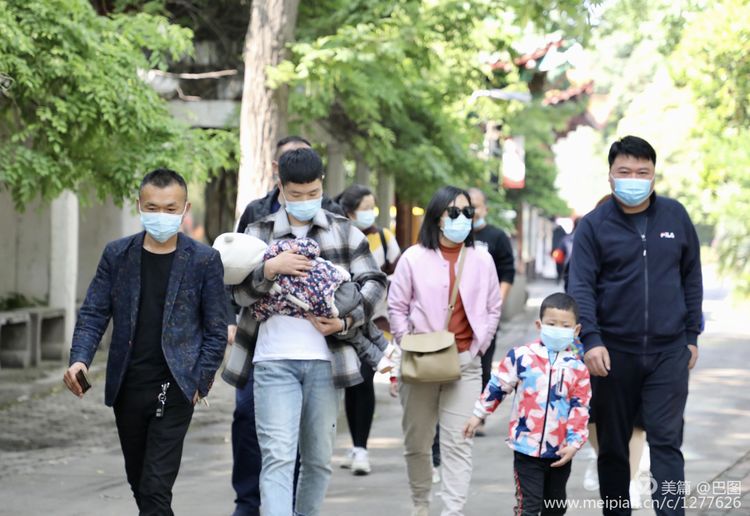 看洛阳牡丹花卉节,洛阳古都牡丹花展