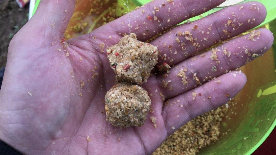 野钓鲫鱼小白条闹窝怎么解决,野钓遇杂鱼闹窝咋办