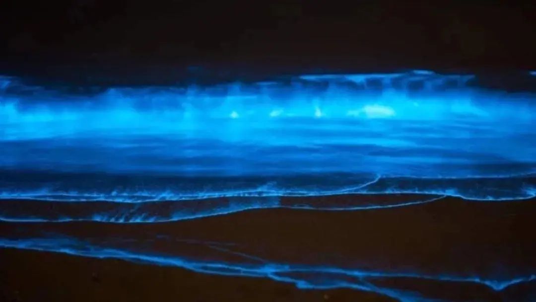 平潭海岛坛南湾,平潭坛南湾海岛