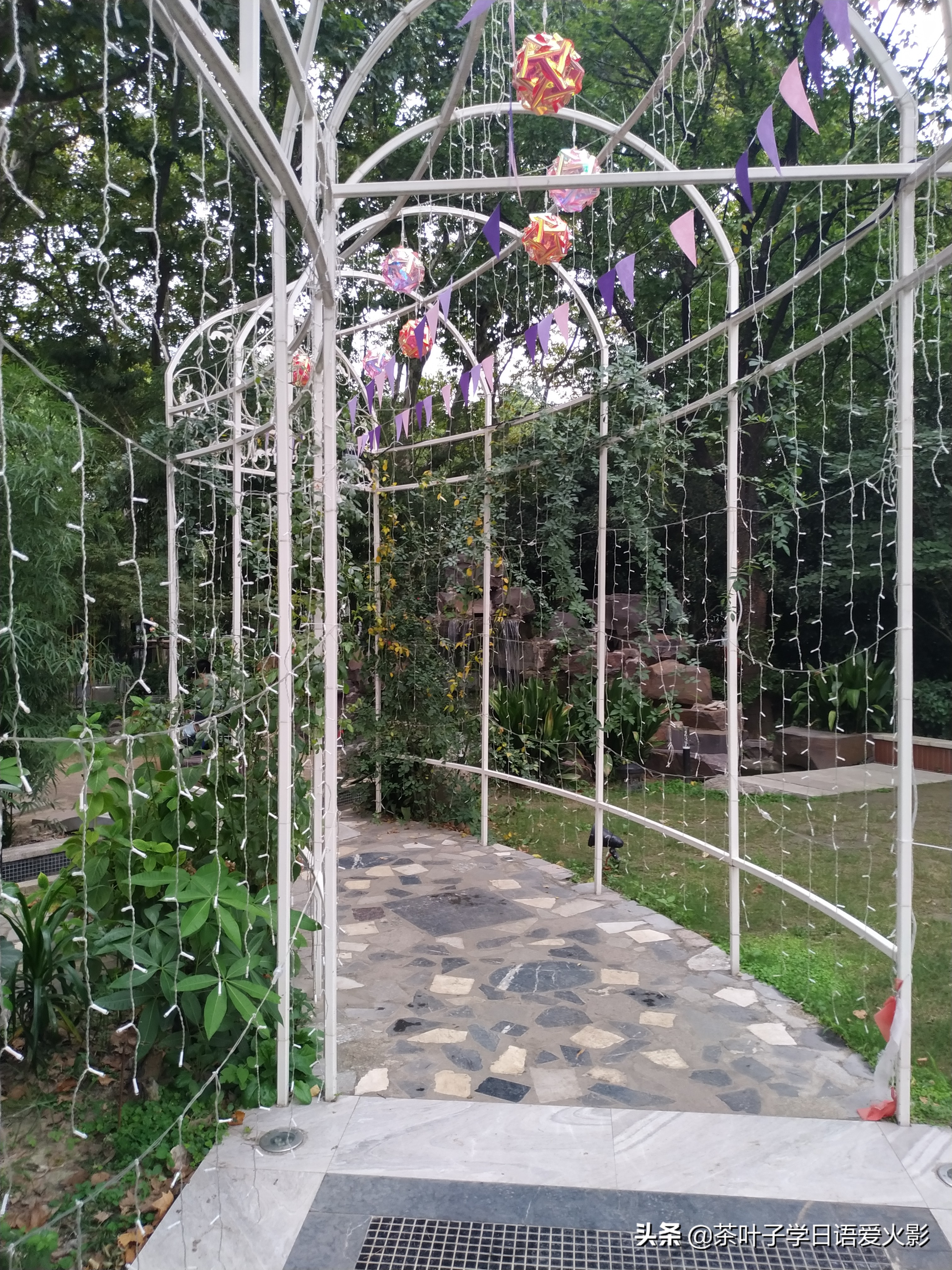 上海甜爱路，打卡不要错过哦，还有鲁迅公园