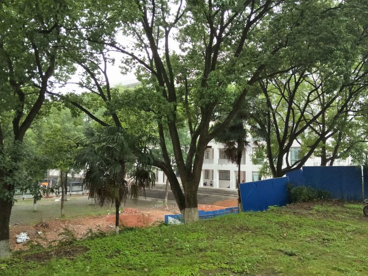 湖南常德市二中新闻,常德市二中高一