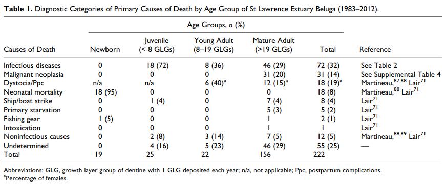 白鲸死亡跟什么有关,白鲸死亡事件