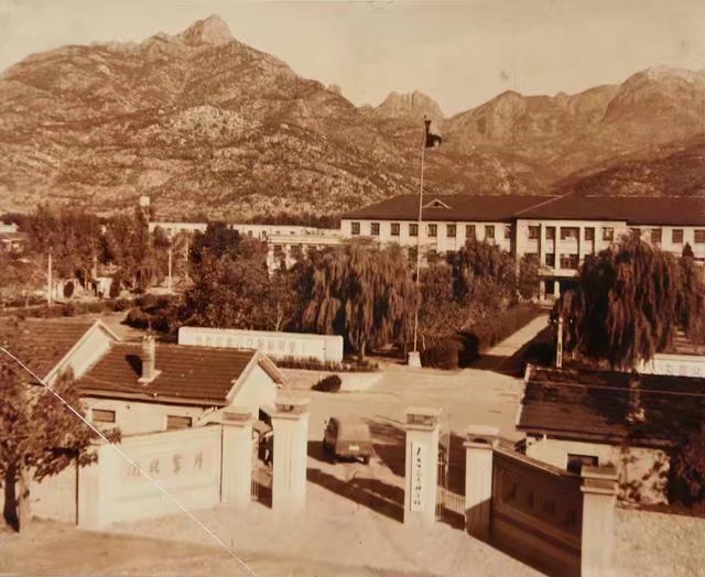 老照片同学友谊,老照片学校旧照